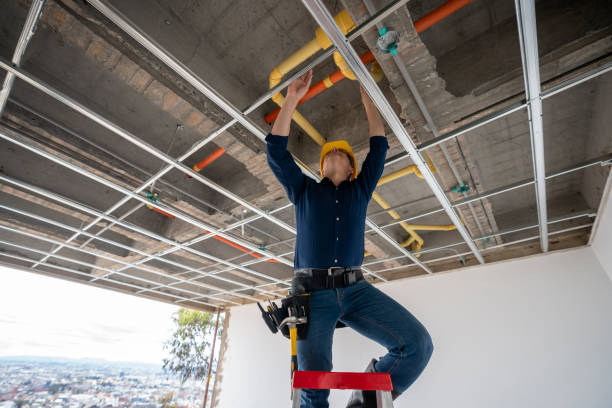 Best Plumbing Services Near Me  in Budd Lake, NJ