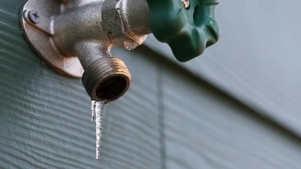 Best Shower Repair Services  in Budd Lake, NJ